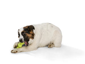 Rumpus® Dog Chew Toy: S / Granny Smith