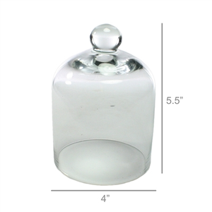Glass Dome - Mini - Clear