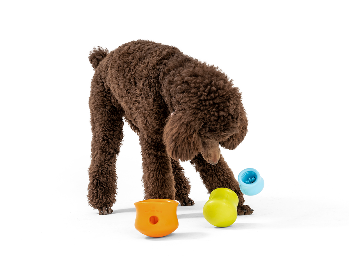 Toppl® Puzzle Treat-Dispensing Slow Feeder Dog Toy: XL / Aqua Blue