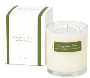 Sample Candle: Lemon Zest and thyme