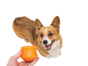 Toppl® Puzzle Treat-Dispensing Slow Feeder Dog Toy: XL / Tangerine