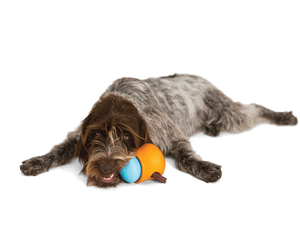 Toppl® Puzzle Treat-Dispensing Slow Feeder Dog Toy: XL / Aqua Blue