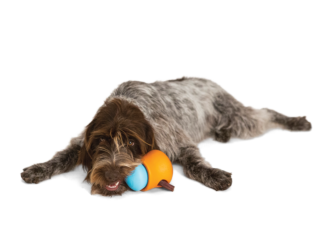 Toppl® Puzzle Treat-Dispensing Slow Feeder Dog Toy: XL / Tangerine