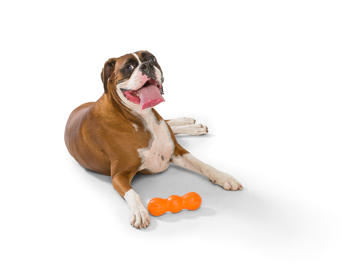 Rumpus® Dog Chew Toy: M / Tangerine