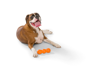 Rumpus® Dog Chew Toy: M / Tangerine